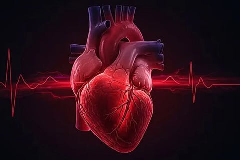 heart | ಹೃದಯದ ಸಾಂದರ್ಭಿಕ ಚಿತ್ರ