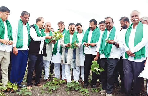 drought ಹುಬ್ಬಳ್ಳಿ ಹಾಗೂ ಕುಂದಗೋಳ ತಾಲೂಕಿನ ಹೊಲಗಳಲ್ಲಿ ಕಮರಿದ ಹೆಸರು ಬೆಳೆ ವೀಕ್ಷಿಸಿದ ಮುಖ್ಯ ಸಚೇತನ ಎನ್. ರವಿಕುಮಾರ ನೇತೃತ್ವದ ಬಿಜೆಪಿ ಬರಗಾಲ ಅಧ್ಯಯನ ತಂಡ.