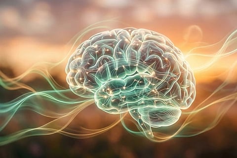 Brain Health 
