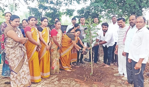 ಚಿಮ್ಮಡ ಗ್ರಾಮ ಪಂಚಾಯಿತಿ ಆವರಣದಲ್ಲಿ ಹಮ್ಮಿಕೊಂಡಿದ್ದ ಸಸಿ ನೆಡುವ ಕಾರ್ಯಕ್ರಮಕ್ಕೆ ಪಿಡಿಒ ಶಿವಾನಂದ ಬಿರಾದಾರ ಚಾಲನೆ ನೀಡಿದರು. ತೇರದಾಳ ವಿಧಾನಸಭಾ ಕ್ಷೇತ್ರದ ಯುವ ಕಾಂಗ್ರೆಸ್ ಅಧ್ಯಕ್ಷ ಪ್ರವೀಣ ಪೂಜಾರಿ, ವಿಸರ್ಜಿತ ಗ್ರಾಮ ಪಂಚಾಯಿತಿ ಸದಸ್ಯ ನಾಗಪ್ಪ ಆಲಕನೂರ, ಸದಸ್ಯೆ ಮಂಜುಳಾ ದೊಡವಾಡ, ಮಾಜಿ ಉಪಾಧ್ಯಕ್ಷ ಪೀರಸಾಬ ನದಾಫ್, ರಘು ಬಜಂತ್ರಿ, ನಾಗಯ್ಯ ಮಠಪತಿ, ರವೀಂದ್ರ ದೊಡವಾಡ ಇತರರಿದ್ದರು.