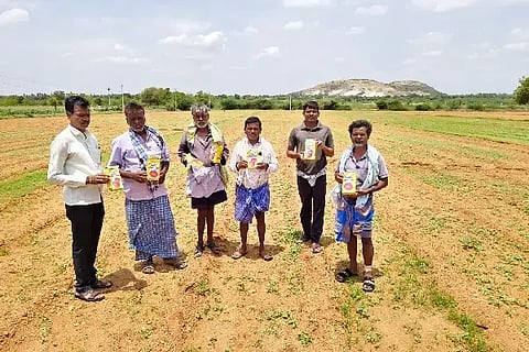 onionಚಳ್ಳಕೆರೆ ತಾಲೂಕಿನ ಗೊರ್ಲಕಟ್ಟೆ ಗ್ರಾಮದ ರೈತರ ಜಮೀನಿನಲ್ಲಿ ಬಿತ್ತನೆ ಮಾಡಿ 20 ದಿನ ಕಳೆದರೂ ಮೊಳಕೆಯೊಡೆಯದ ಈರುಳ್ಳಿ ಬೀಜಗಳ ಕುರಿತು ಕಳಪೆ ಬೀಜ ಸರಬರಾಜು ಮಾಡಿದ ಖಾಸಗಿ ಕಂಪನಿಯ ಮ್ಯಾನೇಜರ್ ಬಿ.ಕೆ. ಶಂಕರ್ ಅವರನ್ನು ರೈತರಾದ ಎಂ. ಭೀಮಚಂದ್ರ, ಬಿ. ಧನಂಜಯ, ಡಿ. ದೇವರಾಜ್, ಡಿ. ಜಗದೀಶ್, ಎಂ. ದ್ಯಾಮಣ್ಣ ತರಾಟೆಗೆ ತೆಗೆದುಕೊಂಡರು.
