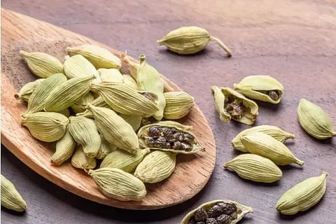  Cardamom
