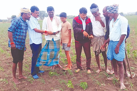 ಸ್ವಯಂ ಬೆಳೆ ದೃಢೀಕರಣ ಮಾಡಿಕೊಂಡು ಯೋಜನೆಗಳ ಸೌಲಭ್ಯ ಪಡೆಯುವಂತೆ ಲಕ್ಷ್ಮೇಶ್ವರ ತಾಲೂಕಿನ ರೈತರಿಗೆ ಕೃಷಿ ಇಲಾಖೆ ಸಹಾಯಕ ನಿರ್ದೇಶಕ ಶಿವಕುಮಾರ ಕಾಶಪ್ಪನವರ ತಿಳಿವಳಿಕೆ ನೀಡಿದರು. ತೋಟಗಾರಿಕೆ ಇಲಾಖೆ ಸಹಾಯಕ ಪ್ರಶಾಂತ ಕುಲಕರ್ಣಿ ಇದ್ದರು