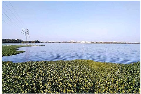 ಚಿತ್ರದುರ್ಗ ಹೊರವಲಯದಲ್ಲಿರುವ ಮಲ್ಲಾಪುರ ಕೆರೆ