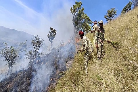 ಅರಣ್ಯದಲ್ಲಿ ಬೆಂಕಿ ನಂದಿಸುತ್ತಿರುವ ಚಿತ್ರ