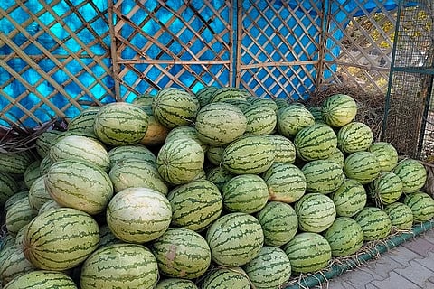 ಚಿತ್ರದುರ್ಗದಲ್ಲಿ ಮಾರಾಟಕ್ಕಾಗಿ ದಾಸ್ತಾನು ಮಾಡಿಕೊಂಡಿರುವ ಕಲ್ಲಂಗಡಿ ಹಣ್ಣುಗಳು.