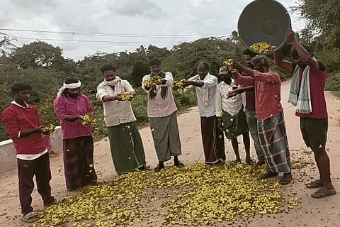 ಚಿತ್ರದುರ್ಗ ತಾಲೂಕಿನ ಹುಣಸೆಕಟ್ಟೆ ಗ್ರಾಮದ ತೋಟಗಳಲ್ಲಿ ಅರಳುವ ಮುನ್ನ ಬಾಡಿ ನಾಶವಾಗುತ್ತಿರುವ ಸೇವಂತಿ ಹೂ.