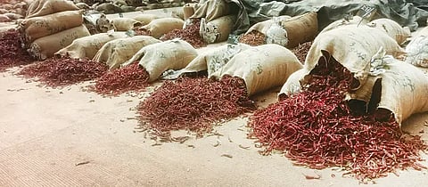 chilly sale ಹುಬ್ಬಳ್ಳಿ ಎಪಿಎಂಸಿಗೆ ಶನಿವಾರ ಆವಕವಾದ ಕೆಂಪು ಮೆಣಸಿನಕಾಯಿ.