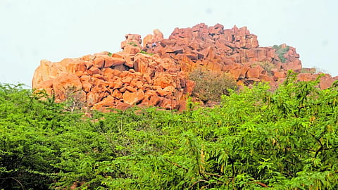 ಬಳ್ಳಾರಿಯ ಸಂಘನ ಕಲ್ಲು ನವಶಿಲಾಯುಗ ಕಾಲದ ಆದಿಮಾನವ ನೆಲೆ 