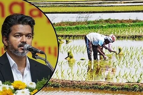 ತಮಿಳುನಾಡಿನಲ್ಲಿ ರೈತರಿಗೆ ಬಂಪರ್ ಕೊಡುಗೆ: 75,000 ರೂ. ವರೆಗಿನ ಸಾಲ ಸಂಪೂರ್ಣ ಮನ್ನಾ ಮಾಡಿದ ಸಿಎಂ ವಿಜಯ್!