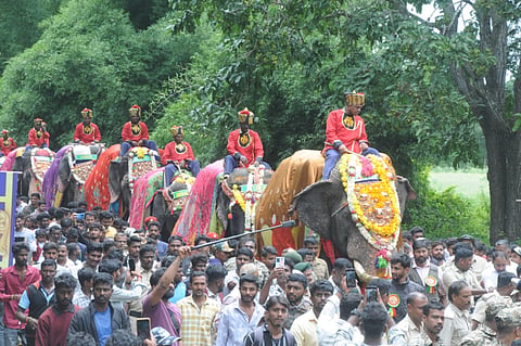 ದಸರಾ ಆನೆ