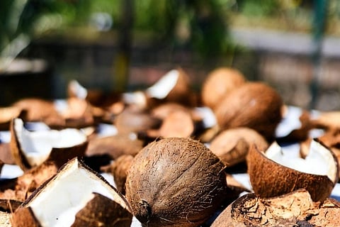   Dry Coconut 