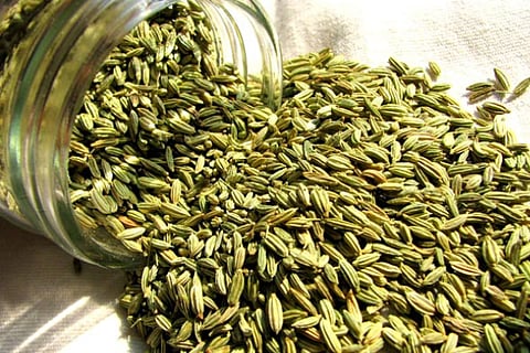 Benefits of Fennel Seeds