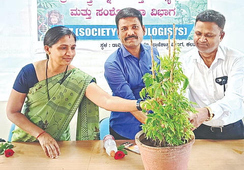 ಗುಲ್ಬರ್ಗ ವಿವಿಯಲ್ಲಿ ಶುಕ್ರವಾರ ಆಯೋಜಿಸಿದ್ದ ಅಂತಾರಾಷ್ಟ್ರೀಯ ಜೀವವೈವಿದ್ಯತೆ ದಿನಾಚರಣೆ ಕಾರ್ಯಕ್ರಮಕ್ಕೆ ಪ್ರೊ.ಜಿ.ಎಂ.ವಿದ್ಯಾಸಾಗರ ಚಾಲನೆ ನೀಡಿದರು. ಪ್ರೊ.ಶಶಿಕಾಂತ ಮಜಗೆ, ಡಾ.ಸಂಧ್ಯಾ ದಿವಾಕರ ಇದ್ದರು.