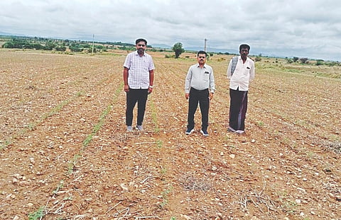 ಹಿರಿಯೂರು ತಾಲೂಕಿನ ವಿವಿಧೆಡೆ ರೈತರ ಜಮೀನಿಗೆ ಕೃಷಿ ಅಧಿಕಾರಿಗಳು ಭೇಟಿ ನೀಡಿ ಪರಿಶೀಲಿಸುತ್ತಿರುವುದು.