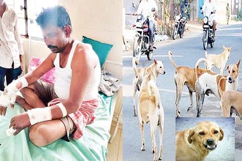 ಚಿಕಿತ್ಸೆ ಪಡೆಯುತ್ತಿರುವ ಭೋವಿ ಮಂಜುನಾಥ.