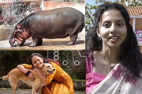 ಪಶುವೈದ್ಯೆ ಡಾ. ಸಮೀಕ್ಷಾ ರೆಡ್ಡಿಯನ್ನು ಬಲಿ ಪಡೆದಿದ್ದ ನೀರಾನೆ ಹಂಸಿಣಿಯ ಮರಿ ಗರ್ಭದಲ್ಲೇ ಸಾವು! Hippo Attack 