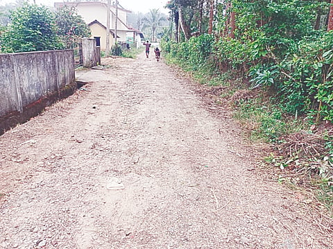 ಹೊನ್ನೇಕೊಪ್ಪಲು ಗ್ರಾಮದ ರಸ್ತೆ ಹಾಳಾಗಿರುವುದು. 