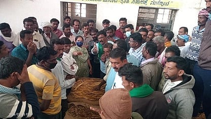 ಅರಕಲಗೂಡು ತಾಲೂಕು ರಾಮನಾಥಪುರ ತಂಬಾಕು ಹರಾಜು ಮಾರುಕಟ್ಟೆಯಲ್ಲಿ ಬೆಲೆ ಇಳಿಕೆ ಖಂಡಿಸಿ ರೈತರು ಕೆಲ ಕಾಲ ಹರಾಜು ಪ್ರಕ್ರಿಯೆ ಸ್ಥಗಿತಗೊಳಿಸಿ ಪ್ರತಿಭಟಿಸಿದರು.
