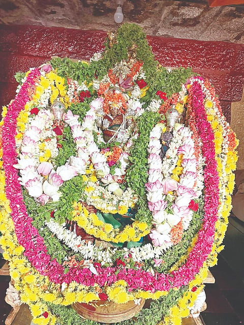  ಕೆ.ಆರ್.ಪೇಟೆ ತಾಲೂಕಿನ ಅಕ್ಕಿಹೆಬ್ಬಾಳು ಗ್ರಾಮದಲ್ಲಿ ಶ್ರೀ ಲಕ್ಷ್ಮೀನರಸಿಂಹ ಸ್ವಾಮಿ ದೇವರ ಸೌರಮಾನ ನರಸಿಂಹ ಜಯಂತಿ ಅಂಗವಾಗಿ ದೇವರಿಗೆ ಪುಷ್ಪಾಲಂಕಾರ  ಮಾಡಲಾಗಿತ್ತು.