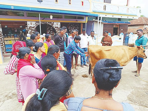 ಅರಕಲಗೂಡು ತಾಲೂಕಿನ ಗೊಬ್ಬಳಿ ಗ್ರಾಮದಲ್ಲಿ ಕೃಷಿ ಹಾಗೂ ಹೈನುಗಾರಿಕೆ ತರಬೇತಿ ಕಾರ್ಯಕ್ರಮದಲ್ಲಿ ಪಶು ವೈದ್ಯಾಧಿಕಾರಿ ಡಾ.ಚಿರಂಜಿವಿ ಅವರು ಉತ್ತಮ ತಳಿಯ ಹಸುಗಳನ್ನು ಆಯ್ಕೆ ಮಾಡುವ ವಿಧಾನಗಳ ಕುರಿತು ರೈತರಿಗೆ ಮಾಹಿತಿ ನೀಡಿದರು. ಗ್ರಾಮದ ರೈತರು ಇದ್ದರು. 