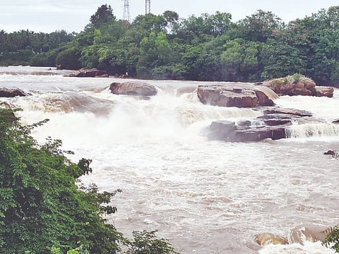ಚುಂಚನಕಟ್ಟೆ ಶ್ರೀ ಕೋದಂಡರಾಮ ದೇವಸ್ಥಾನದ ಬಳಿ ಮೈದುಂಬಿ ಹರಿಯುತ್ತಿರುವ ಕಾವೇರಿ ನದಿ