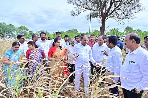ಗುಂಡ್ಲುಪೇಟೆ ತಾಲೂಕಿನಲ್ಲಿ ಬರ ಅಧ್ಯಯನ ಮಾಡಿದ ಸಚಿವ ಸಿ.ಪುಟ್ಟರಂಗಶೆಟ್ಟಿ
