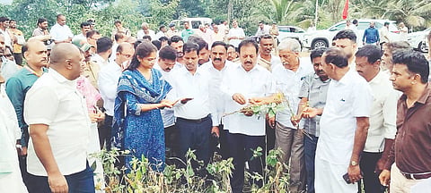  ಕೆ.ಆರ್.ಪೇಟೆ ತಾಲೂಕಿನ ಸಿಂಧಘಟ್ಟ ಗ್ರಾಮದಲ್ಲಿ ಮಳೆ ಕೊರತೆಯಿಂದ ಒಣಗಿರುವ ಹಲಸಂದೆ ಬೆಳೆಯನ್ನು ಕೃಷಿ ಸಚಿವ ಎನ್.ಚಲುವರಾಯಸ್ವಾಮಿ ಪರಿಶೀಲಿಸಿದರು. 