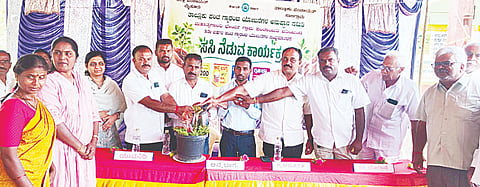 ಪಂಚ ಯೋಜನೆಗಳು ಅನುಷ್ಠಾನಗೊಂಡು ಮೂರು ವರ್ಷ ಪೂರೈಸಿದ ಹಿನ್ನೆಲೆಯಲ್ಲಿ ಭೇರ್ಯದಲ್ಲಿ ಸಸಿ ನೆಟ್ಟಿ ನೀರೆರೆಯುವ ಮೂಲಕ ಸಂಭ್ರಮಿಸಲಾಯಿತು. ಉದಯ್ ಶಂಕರ್, ಶೋಭಾ, ಮಮತಾ ಇತರರು ಇದ್ದರು.  