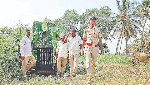 ಅರಕಲಗೂಡು ಸಮೀಪದ ಪಾರಸನಹಳ್ಳಿ ಬಳಿ ಚಿರತೆ ಸೆರೆಗೆ ಅರಣ್ಯ ಇಲಾಖೆ ಸಿಬ್ಬಂದಿ ಬೋನು ಇರಿಸಿರುವುದು.