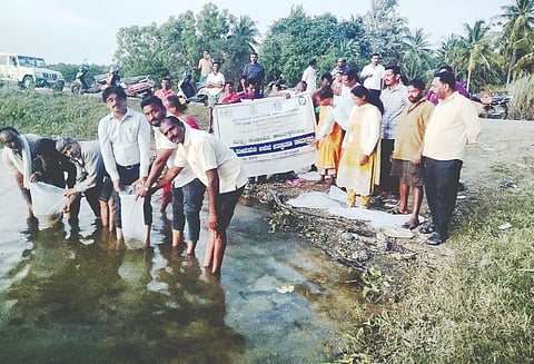 ಪಿ. ದಾಸಪುರ ಗ್ರಾಮದ ಕೆರೆಗೆ ಮೀನುಮರಿ ಬಿಡುವ ಕಾರ್ಯಕ್ಕೆ ತಾಲೂಕು ಪಂಚಾಯಿತಿ ಕಾರ್ಯನಿರ್ವಹಣಾಧಿಕಾರಿ ಹರೀಶ್ ಚಾಲನೆ ನೀಡಿದರು. ಕೆಂಪೇಗೌಡ, ದಯಾನಂದ, ವಿಕಾಸ್, ಮಾನಸ ಪುನೀತ್, ಪುಟ್ಟರಾಜು, ಯುವ ಮುಖಂಡ ಡಿ.ಕೆ. ಧರಣೇಶ್, ತಿರುಮಲೇಗೌಡ, ಮೀನಾಕ್ಷಮ್ಮ, ಪ್ರೇಮ, ಇಂದ್ರಮ್ಮ, ಇದ್ದರು.