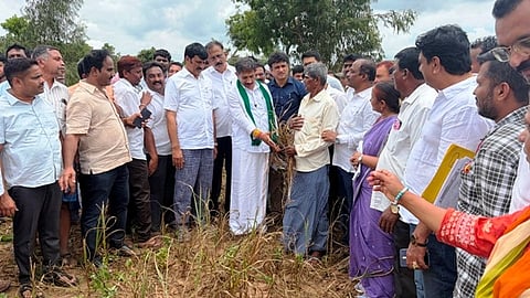 ಚನ್ನಪಟ್ಟಣ ತಾಲೂಕಿನ ಜಗದಾಪುರ ಬ್ಯಾಡರಹಳ್ಳಿಯಲ್ಲಿ ಸಚಿವ ಎಚ್.ಸಿ ಬಾಲಕೃಷ್ಣ ಬರ ಅಧ್ಯಯನ ನಡೆಸಿದರು. 
