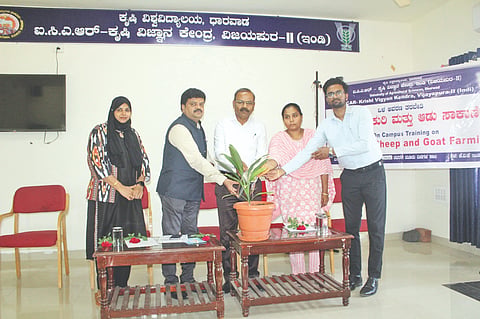  ಇಂಡಿ ನಗರದ ಐಸಿಎಆರ್ ಕೃಷಿ ವಿಜ್ಞಾನ ಕೇಂದ್ರ ಇಂಡಿ ಮತ್ತು ಕೃಷಿ ವಿಶ್ವವಿದ್ಯಾಲಯ ಧಾರವಾಡ ಇವರ ಸಂಯುಕ್ತಾಶ್ರಯದಲ್ಲಿ ಕೆವಿಕೆ ಸಭಾಂಗಣದಲ್ಲಿ ಹಮ್ಮಿಕೊಂಡಿದ್ದ ಮೂರು ದಿನಗಳ ‘ವೈಜ್ಞಾನಿಕ ಆಡು ಮತ್ತು ಕುರಿ ಸಾಕಾಣಿಕೆ ತರಬೇತಿ’ ಕಾರ್ಯಕ್ರಮವನ್ನು ಡಾ. ರಾಜಕುಮಾರ ಜೊಳ್ಳಿ ಉದ್ಘಾಟಿಸಿದರು. ಡಾ. ಶಿವಶಂಕರಮೂರ್ತಿ ಎಂ., ಡಾ. ಪ್ರಸಾದ ಎಂ.ಜಿ., ಡಾ. ವೀಣಾ, ಡಾ. ಹೀನಾ, ರೈತರು ಇತರರಿದ್ದರು.