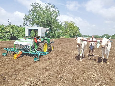 ಇಂಡಿ ತಾಲೂಕಿನ ಹೊಲದಲ್ಲಿ ರೈತರು ಬಿತ್ತನೆ ಮಾಡುತ್ತಿರುವುದು.