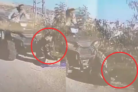 Israeli 