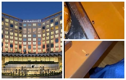 Cockroach Joins Cardiologist For Dinner At JW Marriott