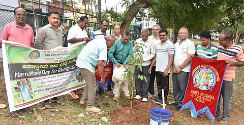  ಮಂಡ್ಯ ನಗರದಲ್ಲಿ ಅಂತಾರಾಷ್ಟ್ರೀಯ ಜೀವ ವೈವಿಧ್ಯ ದಿನ ಆಚರಿಸಲಾಯಿತು.