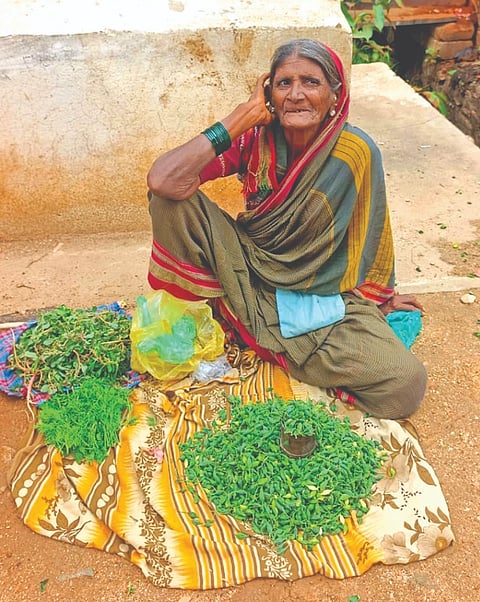 ನರೇಗಲ್ಲ ಬಸ್ ನಿಲ್ದಾಣದ ಹತ್ತಿರ ಕರ್ಚಿಕಾಯಿ ಮಾರಾಟ ಮಾಡುತ್ತಿರುವ ಅಜ್ಜಿ.