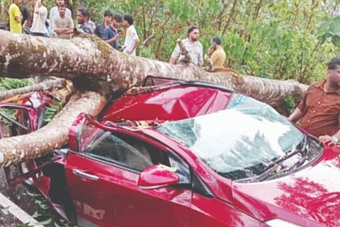 ಮರ ಉರುಳಿ ವೈದ್ಯ ವಿಷ್ಣುಪ್ರಕಾಶ್ ಬರೆಕೆರೆ ಸಂಚರಿಸುತ್ತಿದ್ದ ಕಾರು ಜಖಂಗೊಂಡಿರುವುದು.