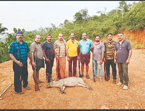  ಎಣ್ಮಕಜೆ ಪಂಚಾಯಿತಿ ವ್ಯಾಪ್ತಿಯ ಬಣ್ಪುತ್ತಡ್ಕ ಪ್ರದೇಶದಲ್ಲಿ ಉಪಟಳ ನೀಡುತ್ತಿದ್ದ ಕಾಡುಹಂದಿಯನ್ನು ಶಾರ್ಪ್‌ಶೂಟರ್‌ಗಳ ತಂಡ ಹೊಡೆದುರುಳಿಸಿರುವುದು. 