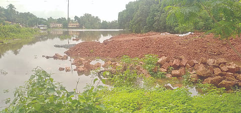  ಪೆರ್ಲ ಸನಿಹದ ಬೆದ್ರಂಪಳ್ಳದ ವಿಶಾಲ ಮದಗಕ್ಕೆ ನೀರು ಹರಿದುಬರುವ ಜಾಗದಲ್ಲೇ ಕಾಂಕ್ರೀಟ್ ಕಾಮಗಾರಿ ನಡೆಸಲಾಗುತ್ತಿದೆ.