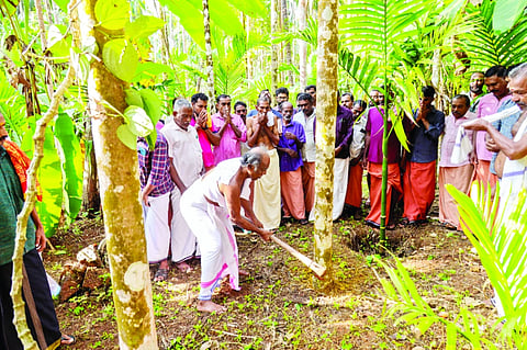 ಪೋಟ್ಟಡ್ಕದಲ್ಲಿರುವ ಚಾಮುಂಡೇಶ್ವರಿ ದೇವಸ್ಥಾನದ ಕಳಿಯಾಟ್ಟ ಮಹೋತ್ಸವ ಪೂರ್ವಭಾವಿಯಾಗಿ ಅಡಕೆಮರ ಕಡಿಯುವ ಮುಹೂರ್ತ ನೆರವೇರಿತು.
