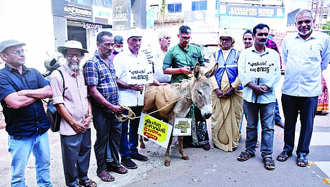  ಕಾಸರಗೋಡು ಜಿಲ್ಲೆಯ ಹೆಸರನ್ನು ಏಮ್ಸ್ ಲಿಸ್ಟ್‌ಗೆ ಒಳಪಡಿಸುವಂತೆ ಆಗ್ರಹಿಸಿ ಏಮ್ಸ್ ಜನಪರ ಒಕ್ಕೂಟ ಕಾರ್ಯಕರ್ತರು ಕಾಸರಗೋಡಿನಿಂದ ಕಾಞಂಗಾಡುವರೆಗೆ ಕತ್ತೆಯೊಂದಿಗೆ ಕಾಲ್ನಡಿಗೆ ಜಾಥಾ ನಡೆಸಿದರು.