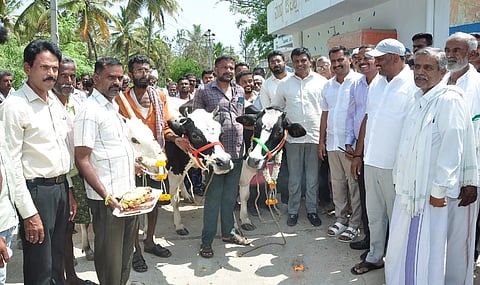 ಮಂಡ್ಯ ತಾಲೂಕು ದೊಡ್ಡಬಾಣಸವಾಡಿ ಗ್ರಾಮದಲ್ಲಿ ಕಾಲುಬಾಯಿ ಜ್ವರದ ಲಸಿಕಾ ಕಾರ್ಯಕ್ರಮಕ್ಕೆ ಚಾಲನೆ ನೀಡಲಾಯಿತು. 