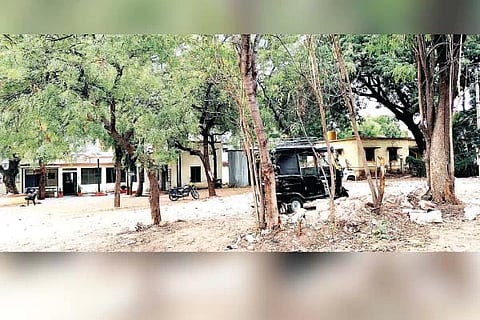 ಕಂಪ್ಲಿ ಜೆಸ್ಕಾಂ ಕಚೇರಿ ಆವರಣದಲ್ಲಿ ಎಇಇ ಕಚೇರಿ ಕಟ್ಟಡ ನಿರ್ಮಿಸುವಲ್ಲಿ ಬೆಳೆದು ನಿಂತ ಮರಗಿಡಗಳು.