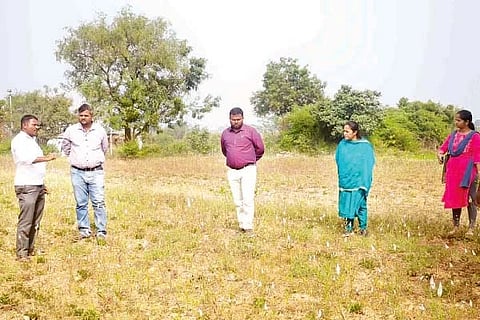 ಬೊಮ್ಮಚಿಹಾಳ ಸೀಮೆಯಲ್ಲಿ ಬಿತ್ತನೆ ಮಾಡಲಾಗಿದ್ದ ಶೇಂಗಾ ಬೆಳೆಯನ್ನು ಕೃಷಿ ಇಲಾಖೆ ಅಧಿಕಾರಿಗಳ ತಂಡ ಗುರುವಾರ ಪರಿಶೀಲಿಸಿತು. ಸಹಾಯಕ ನಿರ್ದೇಶಕಿ ಡಾ. ಅಭಿಲಾಷಾ, ಕೀಟ ಶಾಸ್ತ್ರಜ್ಞ ರಾಘವೇಂದ್ರ ಇದ್ದರು.