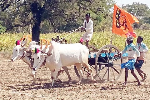 ಬುದ್ದಿನ್ನಿ ಚಿನ್ನದಗಣಿಯಲ್ಲಿ ಗಿರ್ಕಿ ಬಂಡಿ ಎಳೆಯುವ ಸ್ಪರ್ಧೆ ನಡೆಯಿತು.