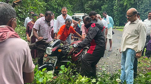  ಭಾರಿ ಗಾಳಿ, ಮಳೆಗೆ ಶಿಶಿಲ ಸಮೀಪದ ಬರ್ಗುಳದಲ್ಲಿ ಮರ ಬಿದ್ದಿರುವುದು.