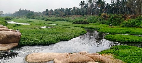 ಅರ್ಕಾವತಿ ನದಿ ದೃಶ್ಯ.