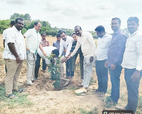 ಆಲೂರು ಗ್ರಾಪಂನಲ್ಲಿ ಹಮ್ಮಿಕೊಂಡಿದ್ದ  ಗ್ಯಾರಂಟಿ ಯೋಜನೆಗಳ ಮೂರು ವರ್ಷದ ಸಂಭ್ರಮ ಕಾರ್ಯಕ್ರಮಕ್ಕೆ ಅನುಷ್ಠಾನ ಸಮಿತಿ ತಾಲೂಕು ಸದಸ್ಯ ದುದ್ದನಹಳ್ಳಿ ಮುನೇಗೌಡ ಗಿಡ ನೆಡುವ ಮೂಲಕ ಚಾಲನೆ ನೀಡಿದರು. ಸದಸ್ಯರಾದ ಬರೇಗೌಡ, ಕೋಡು ಗುರ್ಕಿ ರಮೇಶ್​, ಪಿಡಿಒಗಳಾದ ದಿಲೀಪ್​, ಪ್ರಕಾಶ್​ ಹಾಗ ಗ್ರಾಪಂ ಸಿಬ್ಬಂದಿ ಇದ್ದರು. 